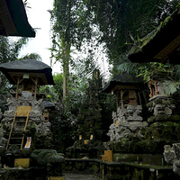 Photo de Bali - Ubud